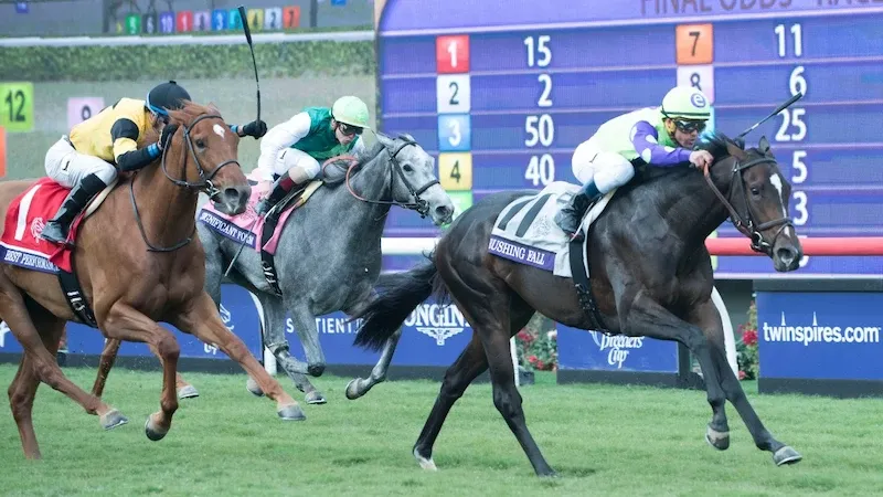 351ebaa3 337d 4df0 a440 02cafba73f4b web